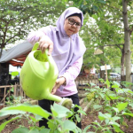 Kwt srikandi