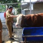 Sekda kabupaten tangerang